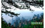【純玩獨立成團線路1】張家界、袁家界、天子山、寶峰湖/黃龍洞二晚三日
