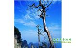 湘西之旅：張家界、天子山、寶峰湖/黃龍洞、鳳凰古城、猛洞河漂流、天門山六日游