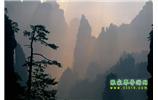 張家界國家森林公園、寶峰湖/黃龍洞、鳳凰古城、三峽八日游