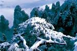 【純玩散拼線路17】張家界、天子山、芙蓉鎮(zhèn)、猛洞河漂流、鳳凰古城三晚四日游