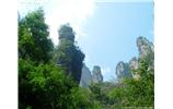 【純玩拼團線路 張家界出發(fā)A2線】張家界、袁家界、天子山、金鞭溪、鳳凰古城2晚3日游